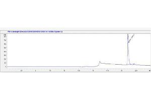 Image no. 1 for Osteocalcin (BGLAP) peptide (Ovalbumin) (ABIN5666314) (Osteocalcin (BGLAP) peptide (Ovalbumin))