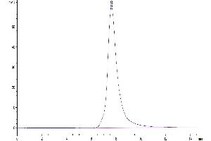 Size-exclusion chromatography-High Pressure Liquid Chromatography (SEC-HPLC) image for FGFR2 beta (AA 152-378) protein (His tag) (ABIN7274646)