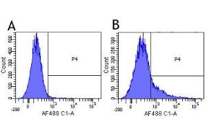 Flow-cytometry using the anti-CD40L research biosimilar antibody Ruplizumab (hu5c8, )  Human lymphocytes were stained with an isotype control (panel A) or the rabbit-chimeric version of Ruplizimab ( panel B) at a concentration of 1 µg/ml for 30 mins at RT. (Recombinant CD40L (Ruplizumab Biosimilar) antibody)