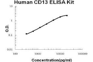 Human CD13/Aminopeptidase N PicoKine ELISA Kit standard curve (CD13 ELISA Kit)