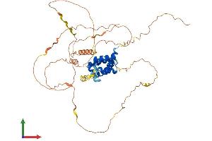 AlphaFold protein structure predicition of Mouse Recombinant Pou3f3 Protein, UniprotID P31361 (POU3F3 Protein (AA 1-497) (His tag))