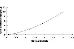 Typical standard curve (DOCK4 ELISA Kit)