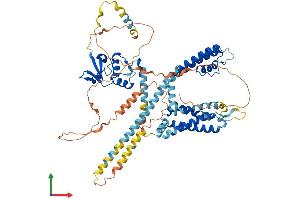 AlphaFold protein structure predicition of Human Recombinant KCND3 Protein, UniprotID Q9UK17 (KCND3 Protein (AA 1-655) (His tag))