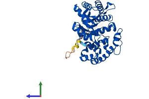 AlphaFold protein structure predicition of Human Recombinant KCNAB2 Protein, UniprotID Q13303