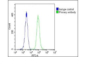 Overlay histogram showing U-2 OS cells stained with C(green line). (RPS18 antibody  (AA 62-91))