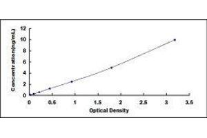 Typical standard curve (Fibronectin ELISA Kit)