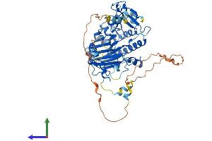 AlphaFold protein structure predicition of Mouse Recombinant Apex2 Protein, UniprotID Q68G58 (APEX2 Protein (AA 1-516) (His tag))