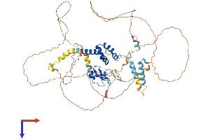 FBXO43 Protein (AA 1-640) (His tag)