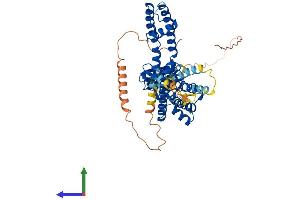 AlphaFold protein structure predicition of Mouse Recombinant Kcna1 Protein, UniprotID P16388