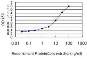 Detection limit for recombinant GST tagged DDX20 is approximately 0. (DDX20 antibody  (AA 725-824))