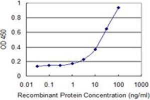 Detection limit for recombinant GST tagged RARRES2 is 0. (Chemerin antibody  (AA 17-163))
