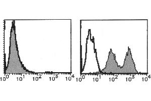 Flow Cytometry (FACS) image for anti-Integrin, alpha 7 (ITGA7) antibody (PE) (ABIN487464) (ITGA7 antibody  (PE))