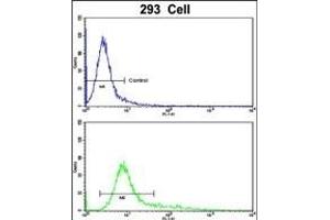 Flow cytometric analysis of 293 cells using SDCCAG33 Antibody (Center)(bottom histogram) compared to a negative control cell (top histogram).