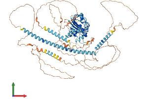 AlphaFold protein structure predicition of Human Recombinant CEP97 Protein, UniprotID Q8IW35 (CEP97 Protein (AA 1-865) (His tag))