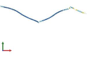 AlphaFold protein structure predicition of Human Recombinant CCDC172 Protein, UniprotID P0C7W6