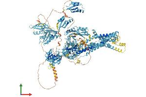 Protein Structure (PS) image for ATPase, Cu++ Transporting, alpha Polypeptide (ATP7A) (AA 1-1491) protein (His tag) (ABIN7563990)