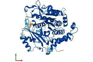 Protein Structure (PS) image for Tubulin, gamma 1 (TUBG1) (AA 1-451) protein (His tag) (ABIN7544196)