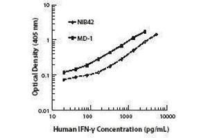 ELISA image for anti-Interferon gamma (IFNG) antibody (ABIN2666035) (Interferon gamma antibody)