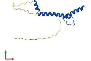 Protein Structure (PS) image for Nescient Helix Loop Helix 2 (NHLH2) (AA 1-135) protein (His tag) (ABIN7557816)