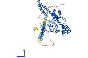 Protein Structure (PS) image for Ecto-NOX Disulfide-Thiol Exchanger 2 (ENOX2) (AA 1-610) protein (His tag) (ABIN7553815)