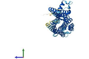 AlphaFold protein structure predicition of Mouse Recombinant Taar8a Protein, UniprotID Q5QD07 (TAAR8A Protein (AA 1-344) (His tag))
