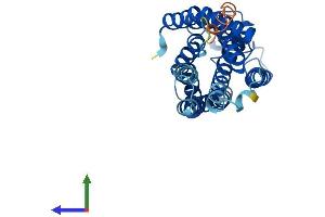 Protein Structure (PS) image for Free Fatty Acid Receptor 1 (FFAR1) (AA 1-300) protein (His tag) (ABIN7553946)