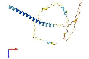Chromosome 1 Open Reading Frame 186 (C1orf186) (AA 1-172) protein (His tag)