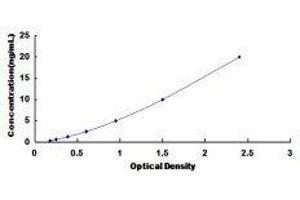 Glutathione Peroxidase 2 (GPX2) ELISA Kit