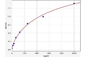 Typical standard curve (FNDC5 ELISA Kit)