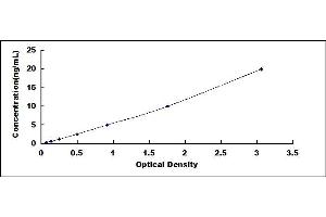 Typical standard curve (NFkB ELISA Kit)