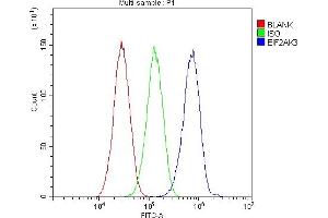 Flow Cytometry analysis of HepG2 cells using anti-PERK antibody (ABIN5693216).