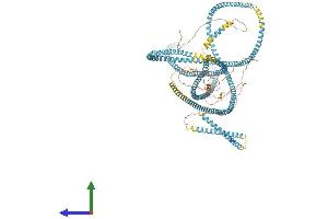AlphaFold protein structure predicition of Mouse Recombinant Sfi1 Protein, UniprotID Q3UZY0