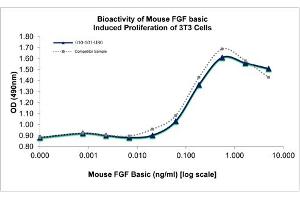 SDS-PAGE of Mouse Fibroblast Growth Factor basic Recombinant Protein Mouse Fibroblast Growth Factor basic Recombinant Protein. (FGF2 Protein)