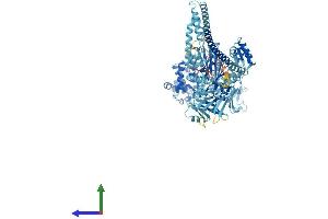 Protein Structure (PS) image for Myosin IC (MYO1C) (AA 1-1063) protein (His tag) (ABIN7554681)