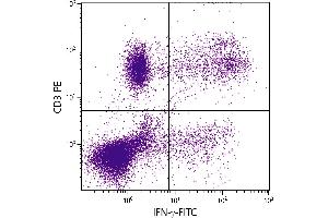 PMA and ionomycin stimulated human peripheral blood lymphocytes were stained with Mouse Anti-Human CD3-PE. (Interferon gamma antibody  (FITC))