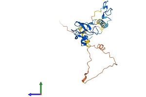 Protein Structure (PS) image for Zinc Finger, CCHC Domain Containing 24 (ZCCHC24) (AA 1-241) protein (His tag) (ABIN7545383)