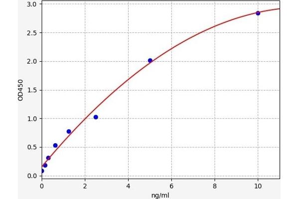 Ladinin 1 ELISA Kit