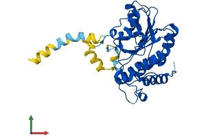 Protein Structure (PS) image for Retinol Dehydrogenase 11 (All-Trans/9-Cis/11-Cis) (RDH11) (AA 1-316) protein (His tag) (ABIN7561788)