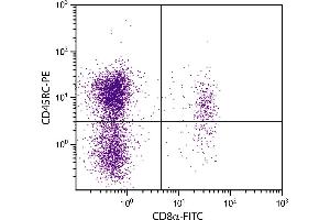 BALB/c mouse splenocytes were stained with Rat Anti-Mouse CD45RC-PE. (CD45RC antibody)