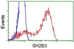 HEK293T cells transfected with either RC218359 overexpress plasmid (Red) or empty vector control plasmid (Blue) were immunostained by anti-SH2B3 antibody (ABIN2454470), and then analyzed by flow cytometry. (SH2B3 antibody)