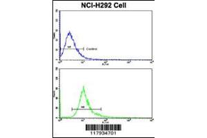 Flow cytometric analysis of NCI-H292 cells using DCXR Antibody (bottom histogram) compared to a negative control cell (top histogram). (Doublecortin antibody  (AA 79-106))