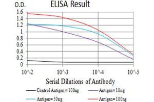 Black line: Control Antigen (100 ng),Purple line: Antigen (10 ng), Blue line: Antigen (50 ng), Red line:Antigen (100 ng) (BCL9L antibody  (AA 606-751))