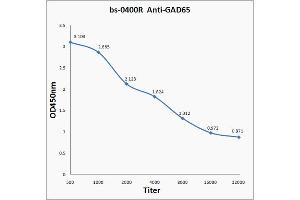 Antigen: 0. (GAD65 antibody  (AA 501-585))