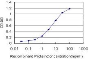 Detection limit for recombinant GST tagged RTKN is approximately 0. (Rhotekin antibody  (AA 451-549))