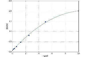 Neuroligin 3 (NLGN3) ELISA Kit