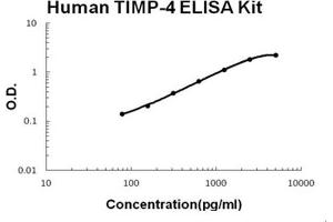 Human TIMP-4 PicoKine ELISA Kit standard curve