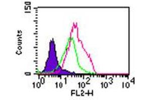 TLR5 Flow Cytometry Flow Cytometry of Rabbit Anti-TLR5 antibody. (TLR5 antibody)