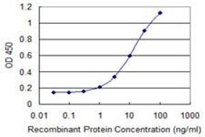Detection limit for recombinant GST tagged CD24 is 0. (CD24 antibody)