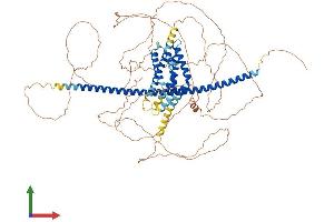 AlphaFold protein structure predicition of Human Recombinant ARHGEF33 Protein, UniprotID A8MVX0 (ARHGEF33 Protein (AA 1-844) (His tag))