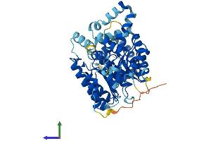 AlphaFold protein structure predicition of Mouse Recombinant Prodh2 Protein, UniprotID Q8VCZ9 (PRODH2 Protein (AA 1-456) (His tag))